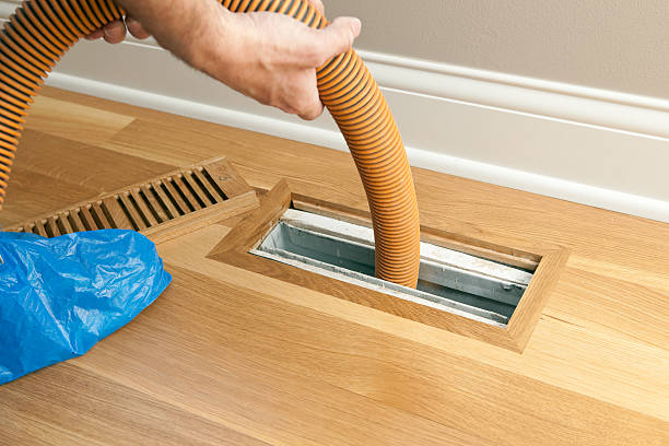 Best HVAC Air Duct Cleaning  in Westvle, IL